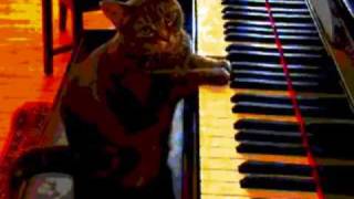 ADRIAN BELEW LOOKING FOR A UFO