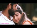 Semparuthi Poove Whatsapp Status Tamil Melody Tamil New Whatsapp Status Video Song