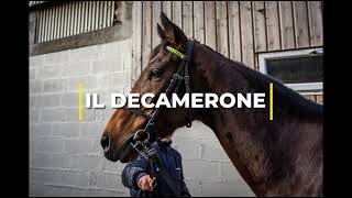 Video  de IL DECAMERONE #7