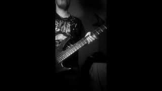 NOFX - Day to Daze [Bass Cover]