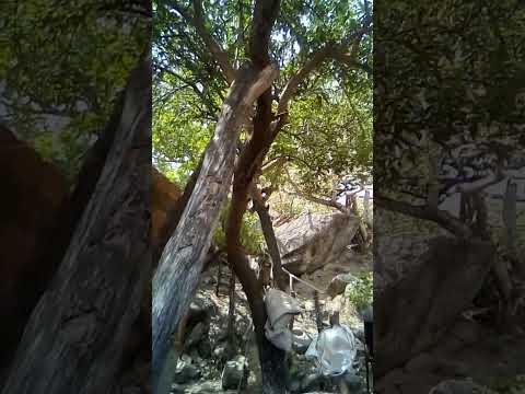 As Belezas de Quixadá-CE