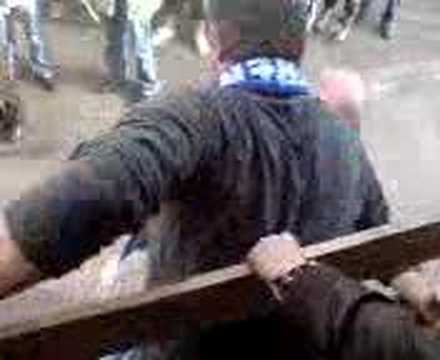 VVR 8 KAMPIOENE DEEL 1