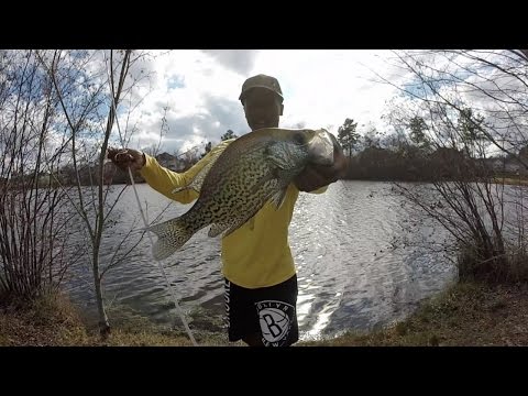 SLAB Crappie While Bass Fishing | Bassinwithzach