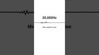 Download lagu 20000Hz Mice Repellent Noise – Ultrasonic Protection mp3 Download lagu 20000Hz Mice Repellent Noise – Ultrasonic Protection mp3