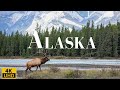 Wild Beauty Of Alaska 4K A Relaxing Journey Through Nature Alaska Life Relaxation Film