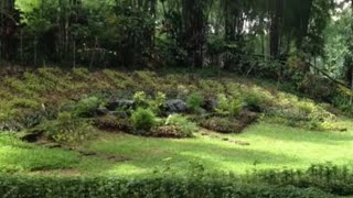 Very Special Love by Maureen McGovern (1990)