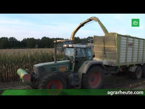 Getreide: "Exportüberschüsse sind knapp"