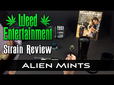 Alien Mints Strain Allbud