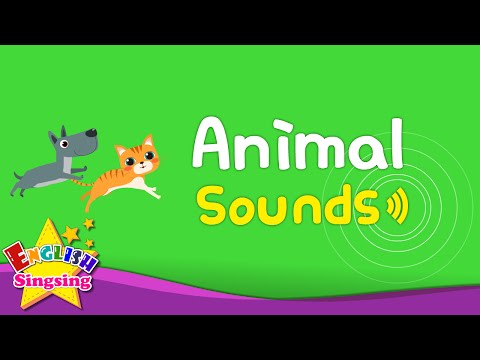 Kids Vocabulary - Animal Sounds - Various Animal Sounds- Learn English for kids -