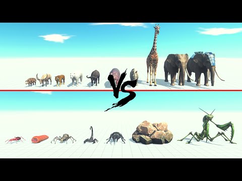 Modern Mammals Vs Giant Invertebrates ARBS | Animal Revolt Battle Simulator