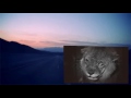 The Three Stooges 1947 S14E04 Hold That Lion
