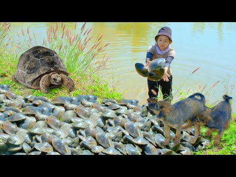 Harvesting GIANT CLAM Goes To Market Sell - Cooking Clam Porridge, Daily life, Gardening