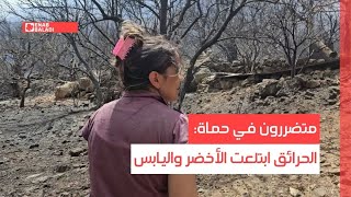 متضررون في حماة: النار ابتلعت الأخضر واليابس