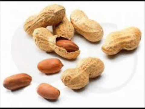 LOS HIJOS DE PUTRE - MANI TOSTADO (CANTA PALITO GRANDON)