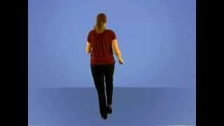 Timeless (Line Dance Demo)