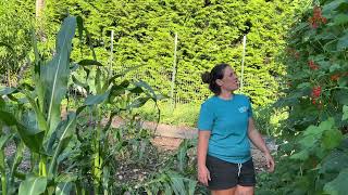 When Milk Comes From a Jar || Hard Lessons, Good Food, & God’s Blessings || July 2025