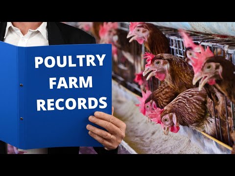 , title : 'POULTRY FARM RECORDS: All Your Need To Know'