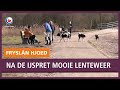 REPO: na de ijspret geniet Fryslân van het mooie lenteweer