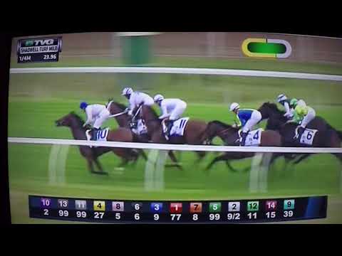 SHADWELL TURF MILE (G1) STAKES $1,000,000 2017 - SUEDOIS !!