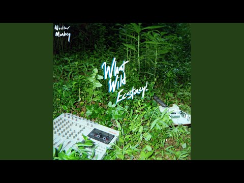 Sorry - Nuclear Monkey