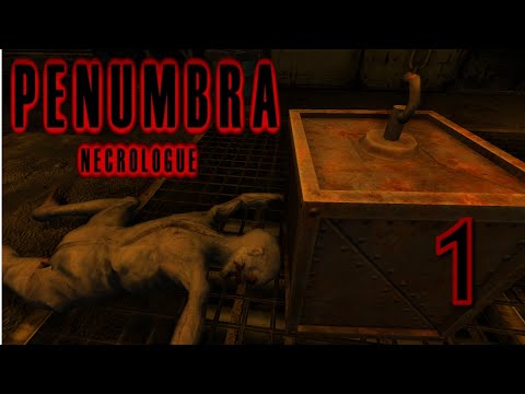 Penumbra Necrologue | Part 1 | What Actually Happened?