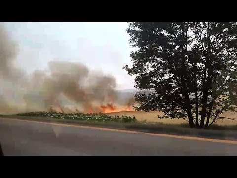 Požiar na D1/Fire on Highway D1 - 28. jún 2017