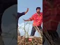 Whatsapp Status Tamil