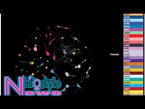 New 'Pan-Cancer' analysis reveals the common roots of different cancers