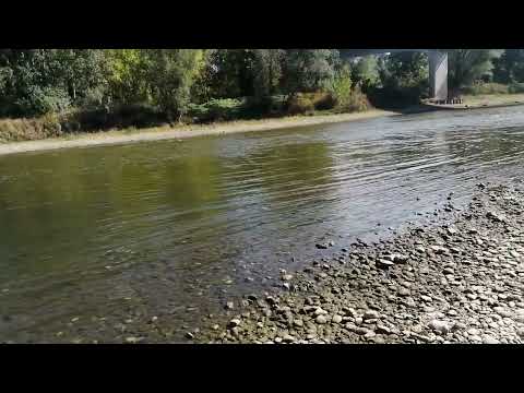 Morava - Velika Plana (u tri koraka do duge obale) 🤔😬