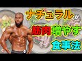 ナチュラルが筋肉を増やす為の食事法【筋トレ】