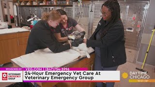 24-Hour Emergency Vet Care At Veterinary Emergency Group