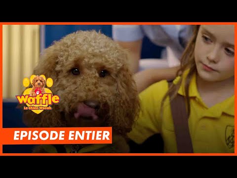 Waffle - Episode intégral S2 " Waffle à l'école" - CANAL+kids