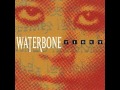 Waterbone - Pujari Vision 