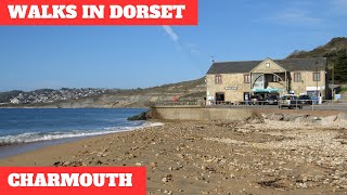 WALKS IN DORSET at CHARMOUTH & WOOTTON FITZPAINE (WITH SPECIAL GUEST FIVER) [4K]