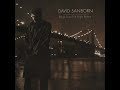 David Sanborn - Southern Exposure - 1996