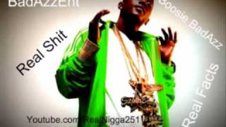 Lil Boosie ft Vicious-I just wanna ball (New 2010)