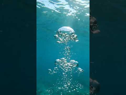 Underwater Bubbles Sound Effect