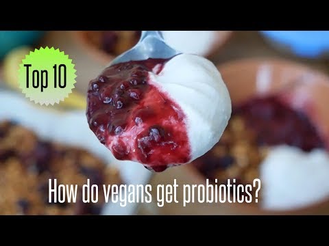 download lagu mp3 mp4 Vegan Probiotic Cultures, download lagu Vegan Probiotic Cultures gratis, unduh video klip Vegan Probiotic Cultures