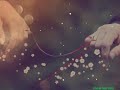Yeh Moh Moh Ke Dhaage WhatsApp Status Love ️ ️