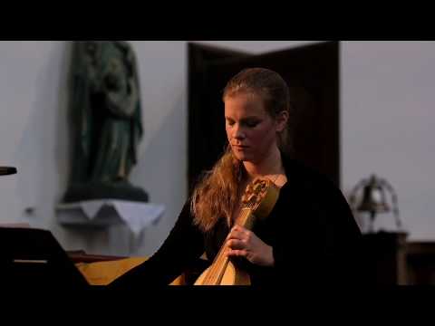 Vielle solo - Gabriel fram evene king