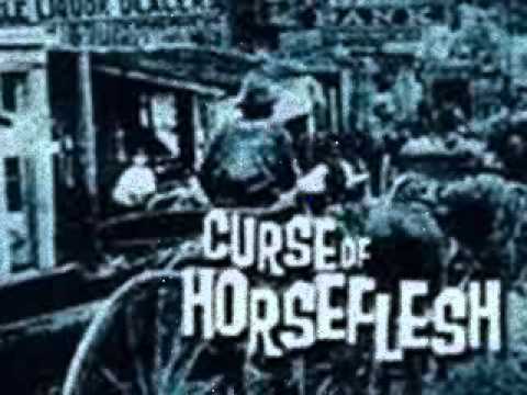 Long road home - Curse of horseflesh.