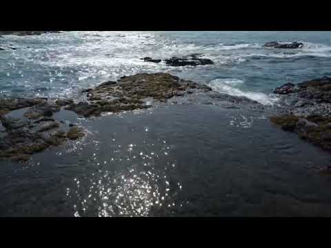 relaxing video ( sunrise at beach)