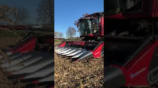 Franco Fabril 12/70 majssk&auml;rbord | Bild 4 - Agroline