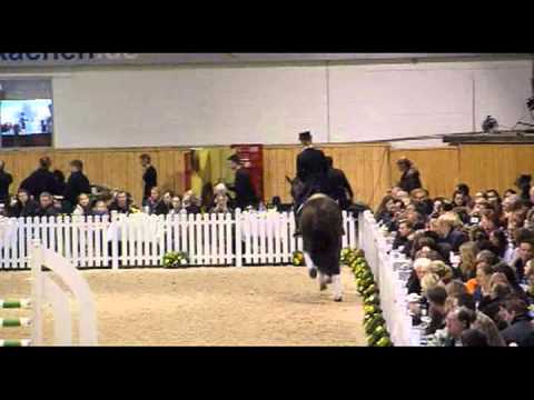 Damon Hill Aachen Hengstschau 2011