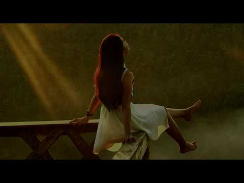 The Trees and The Wild - Derau dan Kesalahan