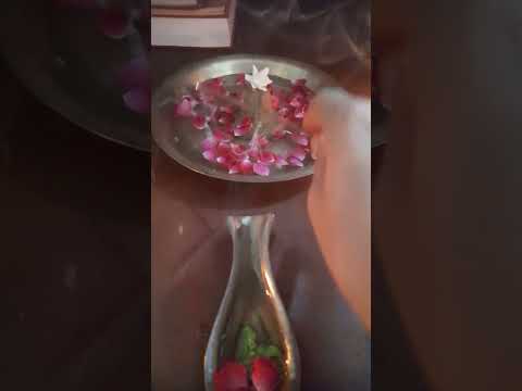 excerpts from todays parthiv linga pooja