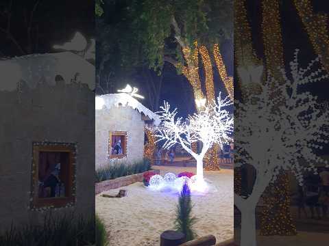 Natal na minha cidade de Conchal Interior de SP #natal2025 #nataliluminado #interior #conchalsp