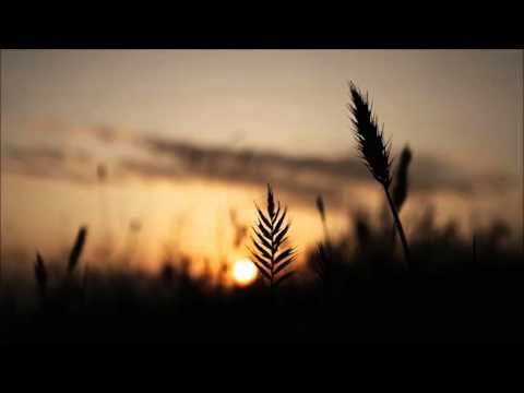 Volkan Erman: Freedom (Zan Prevee Remix)