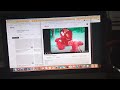 Elmo S World Pets Theme Song