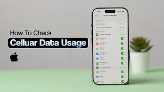 How to Check Cellular Data Usage on iPhone